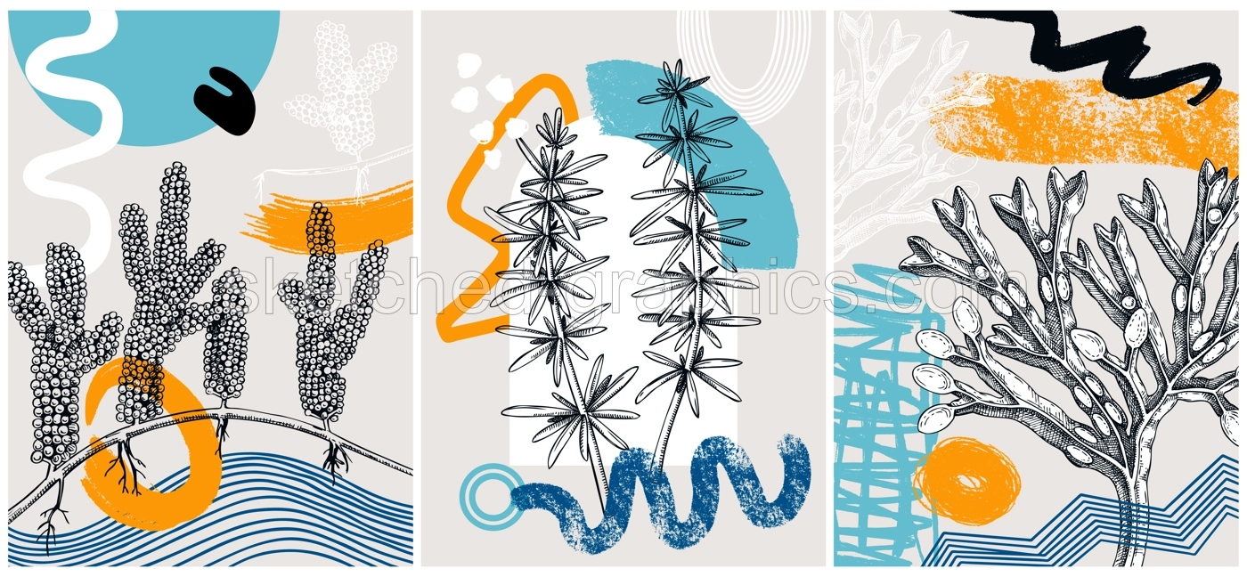Collage-style seaweeds vector illustration. Sketched underwater plants banner set. Trendy design with botanical elements and geometric shapes. Elegant algae for sketch poster, card, and wall art. Illustration